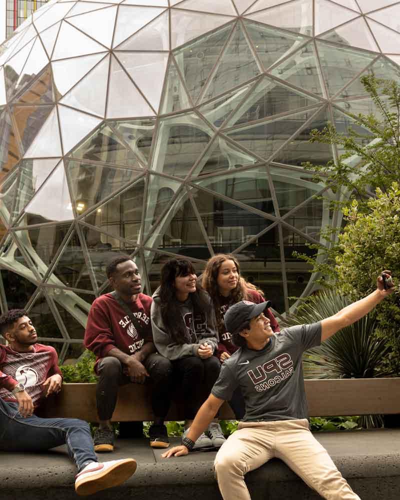 amazon spheres